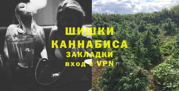 герыч Мегион