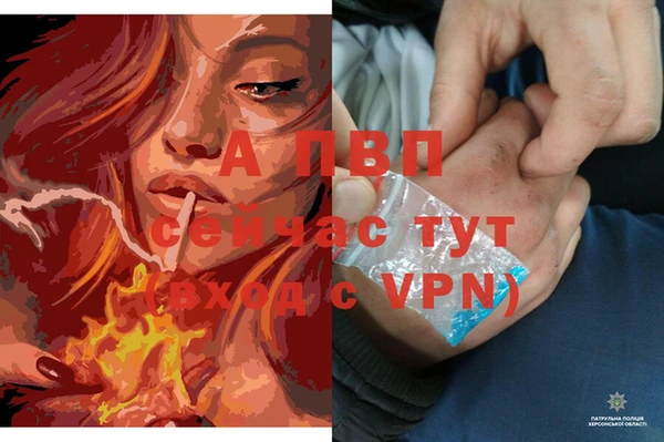 соль ск Магадан