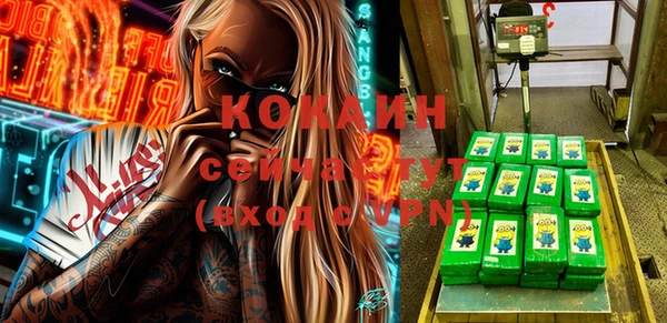 крисы Магас