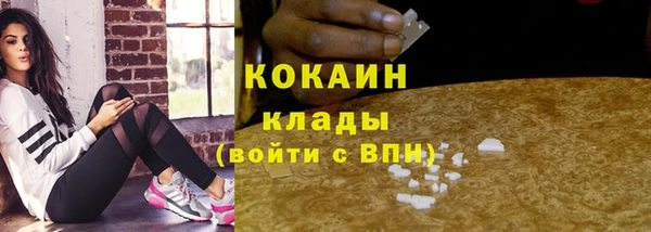 герыч Мегион