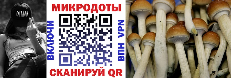 Псилоцибиновые грибы Magic Shrooms  магазин продажи наркотиков  blacksprut маркетплейс  Каспийск 