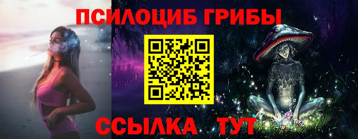 Каспийск  Галлюциногенные грибы Cubensis  купить  цена  Вход с VPN 